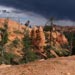Bryce Canyon National Park